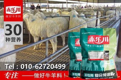 肉羊催肥料精應(yīng)用指南與信息咨詢(xún)服務(wù)解析