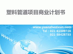專(zhuān)業(yè)項(xiàng)目投資融資計(jì)劃書(shū)撰寫(xiě)與全方位咨詢(xún)服務(wù)